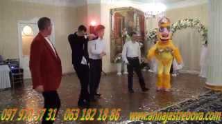 1 Шоу программа на Новогодний корпоратив, Новый год,Одесса
