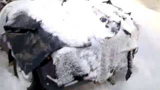 7ка Еле Завелась В Мороз минус 28 с 3й попытки