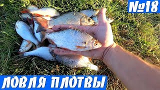 Ловля плотвы на Зимнюю удочку с лодки