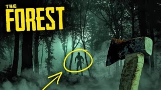 A FRESH START! The Forest