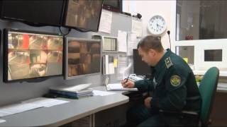 25 лет таможне