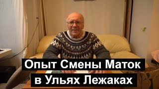 №24 Опыт Смены Маток в Ульях Лежаках Пчеловодство. Пасека.