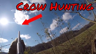 Crow Hunting 2017