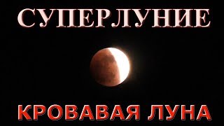 ЛУННОЕ ЗАТМЕНИЕ 31 ЯНВАРЯ 2018 ГОДА|КРОВАВАЯ ЛУНА| |СУПЕРЛУНИЕ|