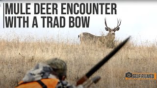 Bow hunting mule deer with a traditional bow- self filmed