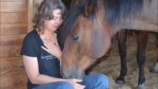 Equinisity Retreat, August 2015, Bette Midler, The Rose