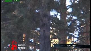 8 парней изнасиловали школьницу