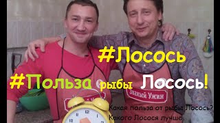 Лосось. Рецепты из рыбы. Красная рыба и ее польза. Кислоты Омега 3.  VLOG