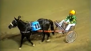 Harness Racing,Harold Park-29/01/1982 Miracle Mile (Gundary Flyer-M.Day)
