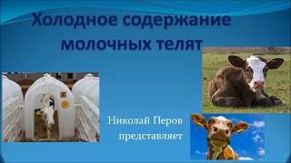 Холодное содержание  бычков