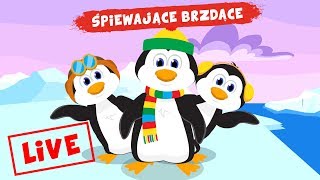 ŚPIEWAJĄCE BRZDĄCE - NAJLEPSZE PIOSENKI DLA DZIECI  ???NA ŻYWO ?
