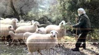 ΦΑΡΣΑ ΣΕ ΤΣΟΠΑΝΟ.......