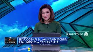 Seafood Ekspor Asal RI Ditolak China, Ini Penjelasan BKIPM