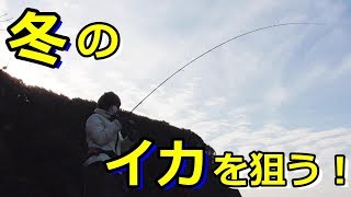 ナブラが出たり、エギングをしたり