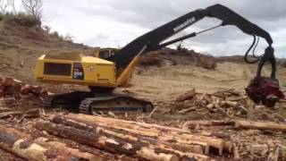 Logging nz