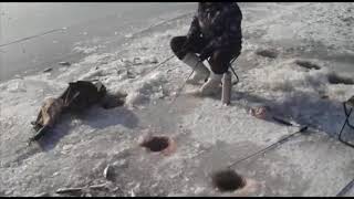 Ловля Сига и Чебака на р. Амур на оснащенные махалки Mr. Musurok Lures&Rods