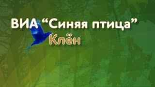 Песня Клен | ВИА Синяя Птица | солист Александр Дроздов