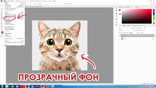 Как сохранить фото с прозрачным фоном в Фотошопе? PNG