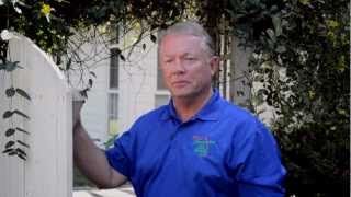 See Termites Swarming & learn inexpensive ways to keep them out of your home!