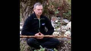 Императорский цигун. Музыка для лечения органов.