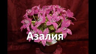 Мастер класс Азалия  Часть 2