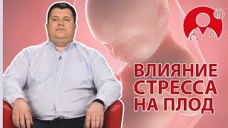Как негативные эмоции влияют на развитие ребенка в утробе? | Вопрос Доктору