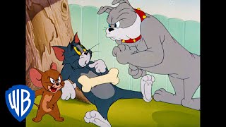 Tom und Jerry auf Deutsch | Klassischer Cartoon 34 | WB Kids