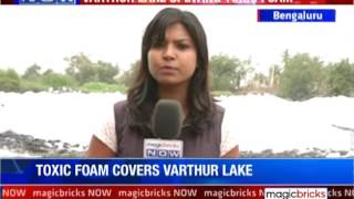Varthur Lake starts spewing toxic foam in Bengaluru - The News