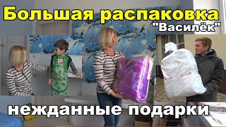 Распаковка. Показываем и вручаем подарки. Любимый Василёк
