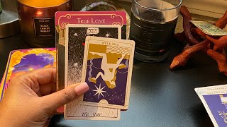 Sagittarius ♐️ they’ll never forgive themselves for letting u down February 2020