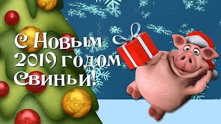 Поздравление с Новым 2019 годом Свиньи