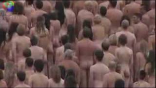 Спенсер Туник в Сиднее
