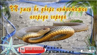ЧП змея во дворе пятиэтажки посреди города