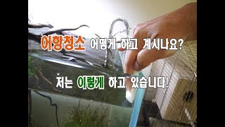 어항청소 어떻게 하고 계시나요? 저는 이렇게 하고 있습니다!
