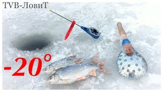 Ловля плотвы зимой на мормышку в малой речке! Зимняя рыбалка.