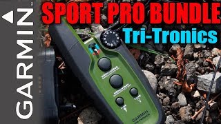SPORT PRO BUNDLE электронный ошейник для собак