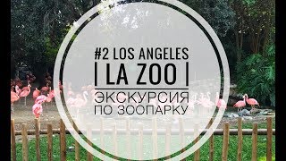 #2  Los Angeles | La ZOO | Экскурсия по зоопарку Лос анджелеса