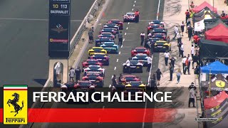 Ferrari Challenge North America – Indianapolis 2020, Coppa Shell Race 1