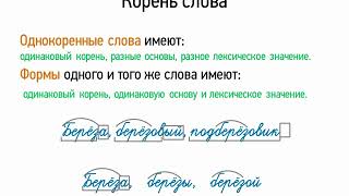 Корень слова (5 класс, видеоурок-презентация)