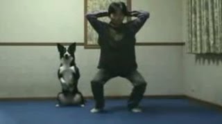 Животные занимаются спортом