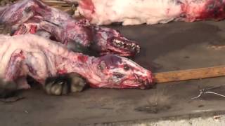 Опасные - В чём их вина