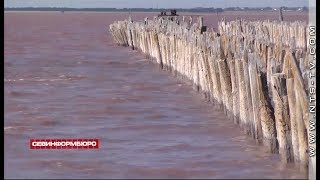 Под Евпаторией раньше срока порозовело солёное озеро