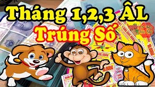 CHÚC MỪNG 3 Con Giáp GIÀU BẤT THÌNH LÌNH, Trúng Số Độc Đắc Tháng 1 Tháng 2 Tháng 3 ÂL, Đổi Đời 1 Đêm