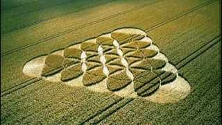 Круги на полях (Circles On Fields) HD