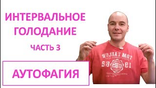 ПЕРИОДИЧЕСКОЕ ГОЛОДАНИЕ часть 3 |  АУТОФАГИЯ | КЕТО и ПГ
