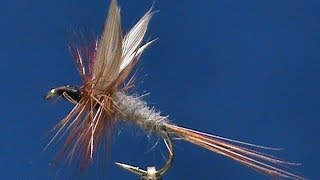 Fly Tying a Classic Dry Fly a Whirling Blue Dun with Jim Misiura
