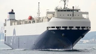 TOCHO / 東澄 - Toyofuji Shipping vehicles carrier - 2014