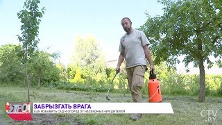 Замучили колорадские жуки, гусеницы и плодожорки? Что делать - рассказывает Иван Русских