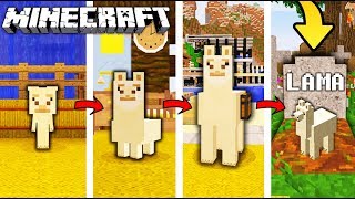 ŻYCIE LAMY W MINECRAFT || OD NARODZIN DO ŚMIERCI