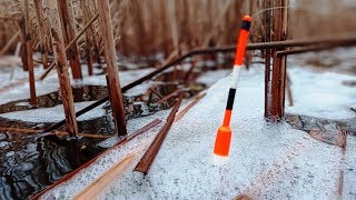 Тысячи КАРАСЕЙ под ЛОДКОЙ но ловится КРУПНЫЙ КРАСНОПЕР!!!